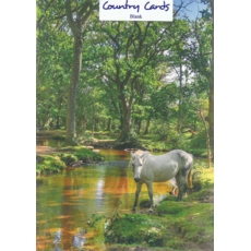 GREETING CARDS,Blank Pony at Ober Water  6's