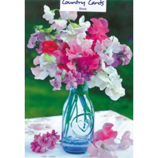GREETING CARDS,Blank Sweet Peas 6's