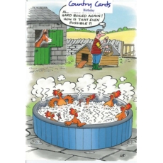 BIRTHDAY CARDS,6's Hard Boiled
