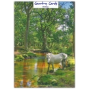 GREETING CARDS,Birthday Pony at Ober Water 6's