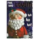 XMAS CARDS,Cousin 6's Model Santa