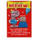 BIRTHDAY CARDS,Nephew 6's Top Nephew Like You (Was 0.89)