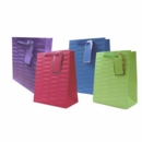 GIFT BAG,Embossed Brights 4 Assorted (Medium)