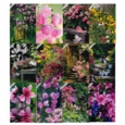 GREETING CARDS,Birthday Asst 72's In The Garden (Was 0.83)