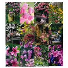 GREETING CARDS,Birthday Asst 72's In The Garden (Was 0.83)