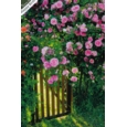 GREETING CARDS,Birthday Asst 72's In The Garden (Was 0.83)