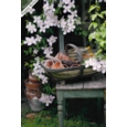 GREETING CARDS,Birthday Asst 72's In The Garden (Was 0.83)