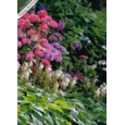 GREETING CARDS,Birthday Asst 72's In The Garden (Was 0.83)