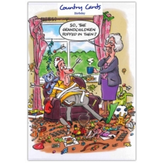 BIRTHDAY CARDS,Humour 6's Grandchildern