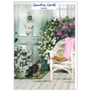 BIRTHDAY CARDS,6's Kitten With  Whicker Chair