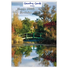 AGE 100 CARDS,Male 6's Bridge over Stream