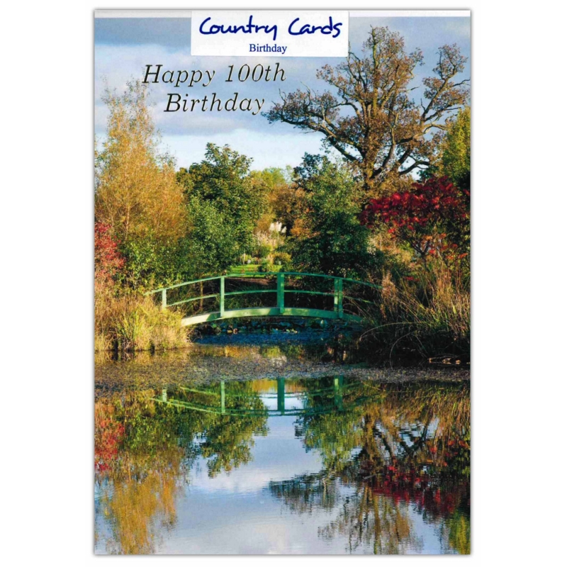 AGE 100 CARDS,Male 6