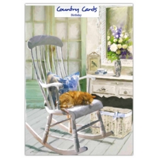 BIRTHDAY CARDS,6's Cat on Rocking Chair