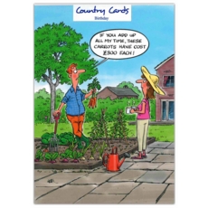 HUMOUR CARDS, 6's Cost of Carrots