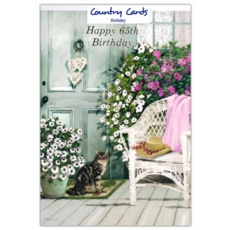 AGE 65 CARDS, 6's Female Cat & Whicker Chair