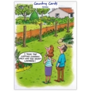 HUMOUR CARDS, 6's Short Ladders
