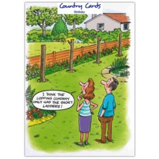 BIRTHDAY CARDS,Humour 6's Short Ladders