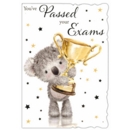 GREETING CARDS,Exam Pass 6's Koala & Trophy