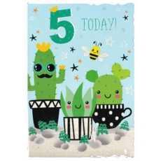 AGE 5 CARDS, 6's Male Cactus, Bee & Stars (Was 1.15)