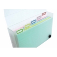 RECORD CARDS & CARRY CASE With Dividers, 5x3" Col.100's