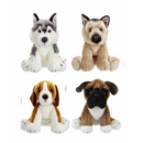 DOG, 30cm  4 Assorted Breeds Gosh! Designs