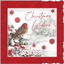 BOXED CARDS,Premium,Winter Robin Square 10's (Was 5.99)
