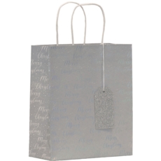 GIFT BAG,Shimmer (Medium) (Was 1.29)