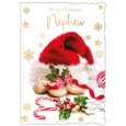 XMAS CARDS,Nephew 6's Mince Pies & Santa Hat