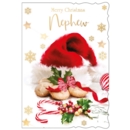XMAS CARDS,Nephew 6's Mince Pies & Santa Hat