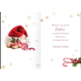XMAS CARDS,Nephew 6's Mince Pies & Santa Hat