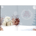 XMAS CARDS,Open 6's Polar Bears (Was 1.15)