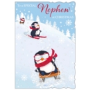XMAS CARDS,Nephew 6's Skiing & Sledging Penguins (Was 1.15)