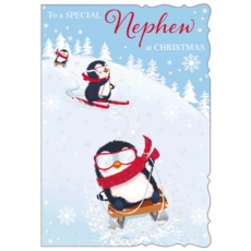 XMAS CARDS,Nephew 6's Skiing & Sledging Penguins (Was 1.15)