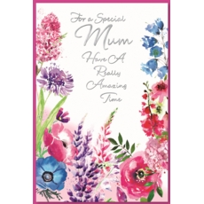BIRTHDAY CARDS,Mum 6's Wild Flowers (Was 1.29)