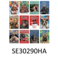 GREETING CARDS, Animal Humour Assortment 72's