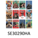 GREETING CARDS, Animal Humour Assortment 72's