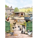 GREETING CARDS,Birthday 6's Farmyard