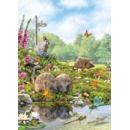 BIRTHDAY CARDS,6's Hedgehogs