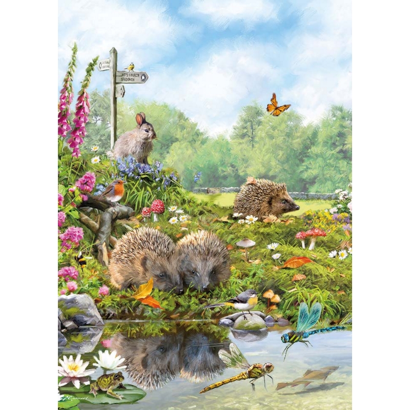 BIRTHDAY CARDS,6