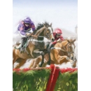 GREETING CARDS,Birthday 6's Horse racing