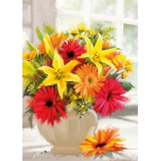 BIRTHDAY CARDS,6's Splash of colour