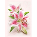 GREETING CARDS,Birthday 6's Lilies