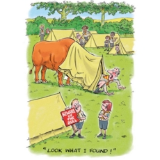 GREETING CARDS,Birthday 6's Bull in scout camp