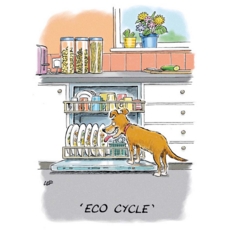 BIRTHDAY CARDS,6's Eco cycle dog