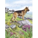 GREETING CARDS,Birthday 6's German Shepherd