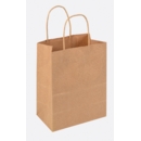 GIFT BAG,Kraft Plain (Medium)