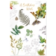 GREETING CARDS,Birthday Asst. 72's Natures Art