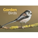 CALENDAR,A4,Garden Birds