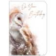BIRTHDAY CARDS,6's Owl