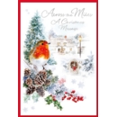 XMAS CARDS,Across the Miles 6's Robin in the Snow